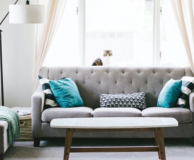 Sala con sofá gris y decoración acogedora, ejemplo de mobiliario cuidado y duradero